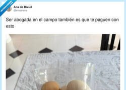 Enlace a Mi sueldo: 12 huevos y el orgullo de saber que “se puede pagar en especie”, por @eraserena