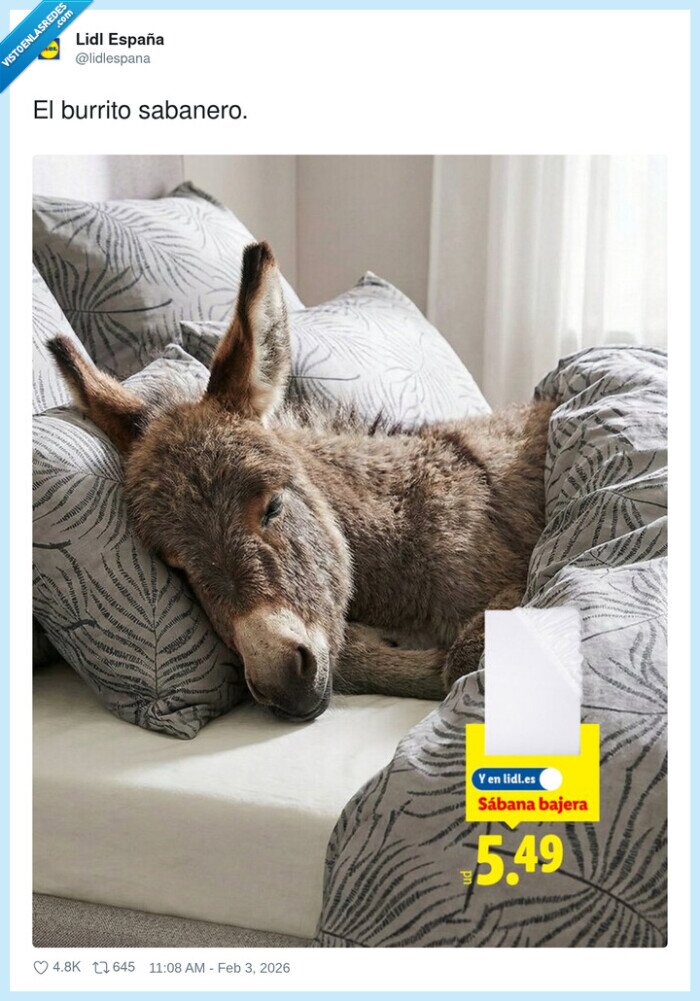 burro,cama,s&aacute;banas,descanso,Lidl