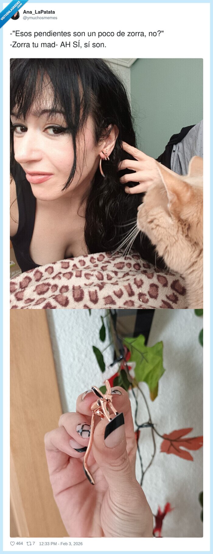 zorra,pendientes,gato,broma,estilo