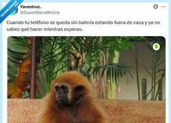 Enlace a Qué bonita vista por @supermanumolina