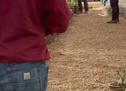 Enlace a Han avisado de una rata y he traído mi gato en modo Fuerzas Especiales, por @DiccionarioVIP