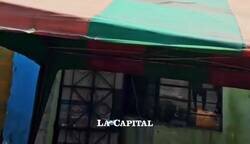 Enlace a Gritas a Max y te sale un ángel… pero versión peluda y con babas, por @PropositoyVida