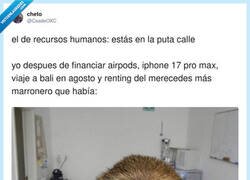Enlace a Yo: vale, pero el iPhone en cuotas también cuenta como patrimonio, ¿no?, por @CaadeOKC