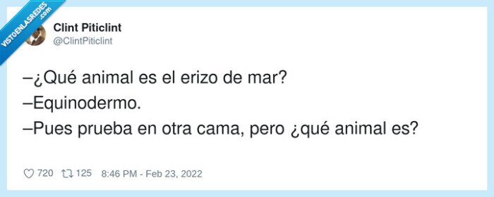 biolog&iacute;a,malentendido,cama,juegosdepabras,conversaci&oacute;n