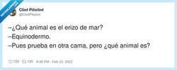 Enlace a Cuando intentas hablar en plan científico y te contestan en modo colchón, por @ClintPiticlint