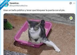 Enlace a ¡Ocupado! por @supermanumolina