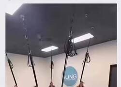 Enlace a En qué momento pensarían que podrían hacer lo mismo, por @MicaDeJota