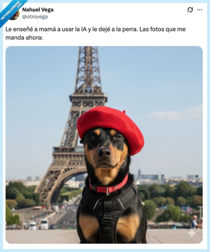 ense&ntilde;ar,madre,perra,fotos,ia