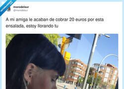 Enlace a Me encanta su cara de decepción, por @morodelsur