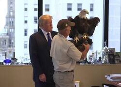 Enlace a Cuando pides ‘una foto patriótica’ y el símbolo nacional te hace el control de calidad a picotazos, por @EnsedeCiencia