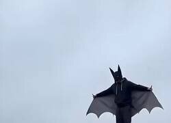 Enlace a Cuando dices “yo controlo” y ya estás a dos segundos de estamparte contra el suelo, por @masteraidaily