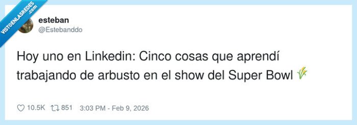 trabajando,superbowl,linkedin,arbusto,lista