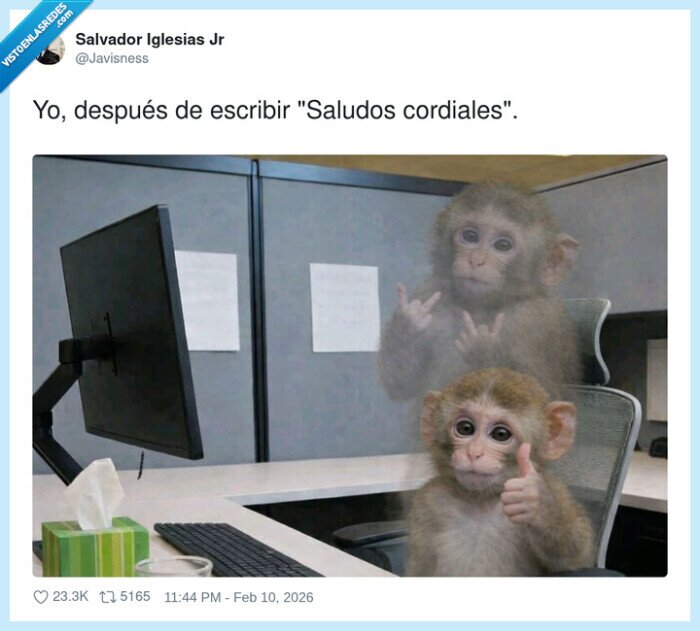 oficina,mono,saludos,cordiales,trabajo