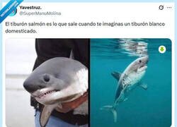 Enlace a Chiquito pero matón por @supermanumolina