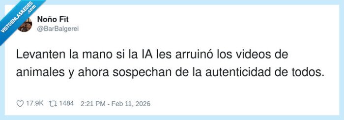 IA,videos,animales,autenticidad,sospecha