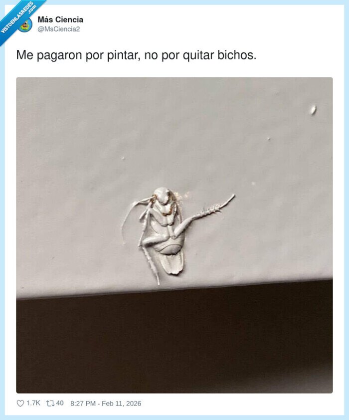 pintura,bicho,cucaracha,trabajo