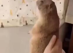 Enlace a Yo sin entender nada, pero asintiendo fuerte para que parezca que sí, por @ceciarmy