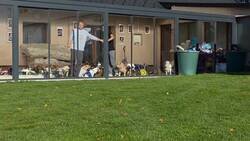 Enlace a Yo: “solo vamos a adoptar uno” / Mi casa a la semana:, por @Animalesaprieto