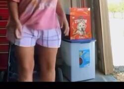 Enlace a Estas madres existen, deberían pedir carné de maternidad, por @xCesiox