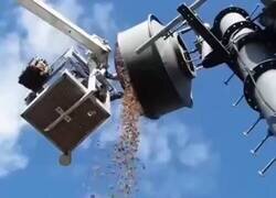 Enlace a Claro que iba mal el WiFi: lo estaba usando una ardilla de trastero, por @EnsedeCiencia