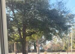 Enlace a Ella pensando que es un día normal y el universo ya tiene preparado el plot twist, por @ceciarmy