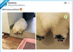 Enlace a Kawaii! por @supermanumolina