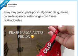 Enlace a Mi algoritmo: a falta de terapia, tangas con coaching, por @merdgie