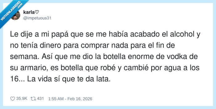 familia,vodka,recuerdos,iron&iacute;a,vida