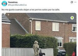 Enlace a ¿Cómo flota la correa? por @supermanumolina