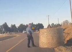 Enlace a El gimnasio es esto: mover el problemón y seguir con tu vida, por @DiccionarioVIP