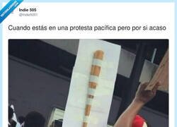 Enlace a Protesta pacífica, sí… pero yo vengo con el argumento extensible por si se ponen tontos, por @Indie5051
