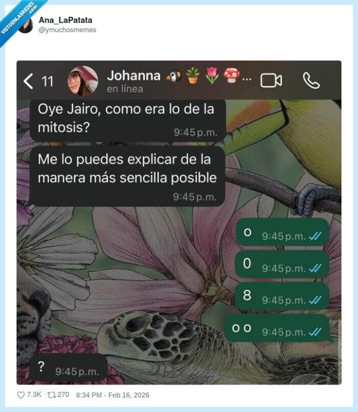 mitosis,whatsapp,biolog&iacute;a,examen,clases