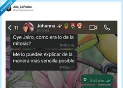 Enlace a La mitosis, explicada para los que copiábamos con dibujitos, por @ymuchosmemes