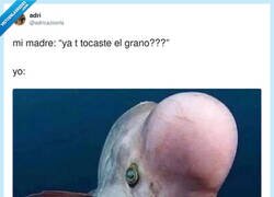 Enlace a Yo en modo “no sé de qué me hablas” pero ya lo he mirado 17 veces, por @adricazoorla