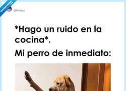 Enlace a Da igual el ruido: si suena a comida, es mi momento, por @Pkittass