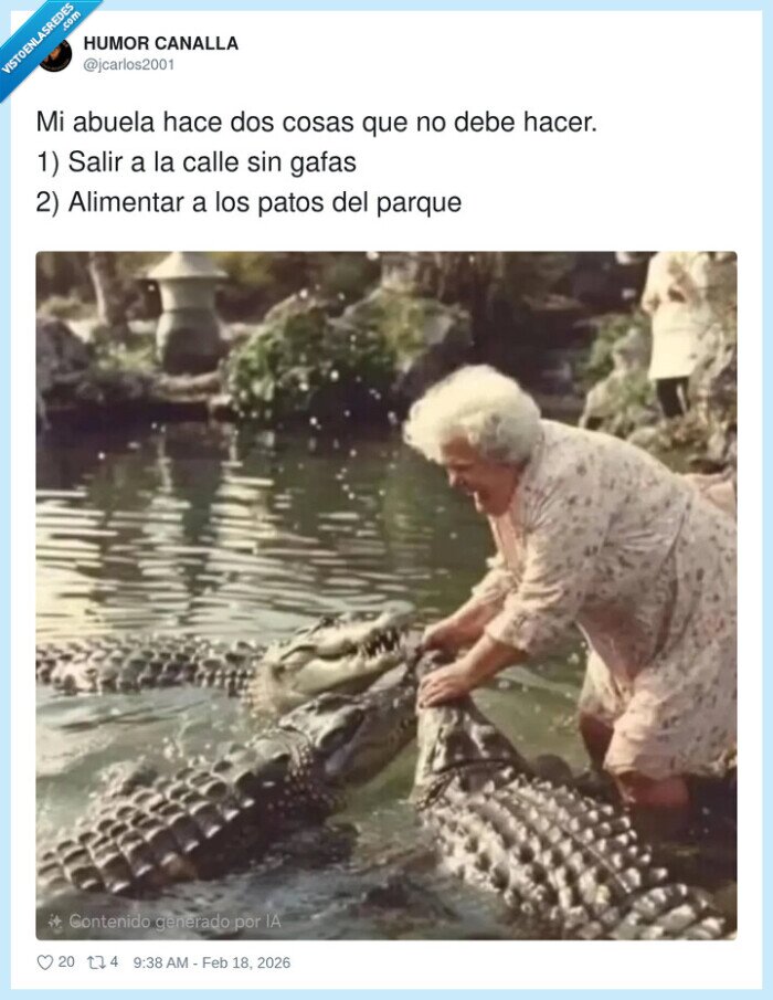 abuela,patos,parque,cocodrilos,gafas