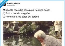 Enlace a Mi abuela yendo a darles pan a los patos, pero en versión Jurassic Park, por @jcarlos2001