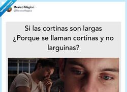 Enlace a Mi cerebro a las 3:00 dándole vueltas a lo importante: ¿por qué no se llaman larguinas?, por @MexicoMagico