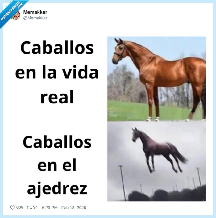 ajedrez,caballo,saltos,realidad,comparaci&oacute;n