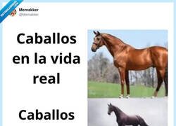 Enlace a En la vida real no saltas así ni con café… pero en el ajedrez vas como si tuvieras alas, por @Memakker