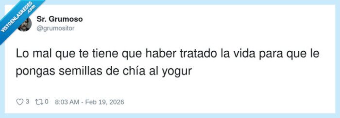 chia,yogur,desayuno,postureo,vida