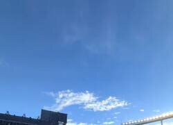 Enlace a Dejadme en paz, por @cornulda