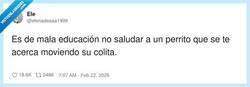 Enlace a Si no saludo al perro, ¿también soy mala persona?, por @elenadesaa1999