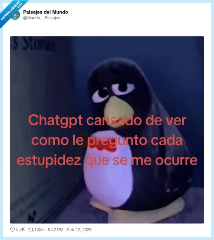 chatgpt,ping&uuml;ino,preguntas,cansancio,tecnolog&iacute;a