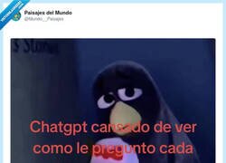 Enlace a “Una cosita rápida” (otra vez), por @Mundo__Paisajes