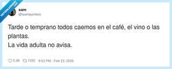 Enlace a Te haces mayor el día que te emocionas más por una cafetera que por un concierto, por @isamquintero