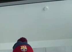 Enlace a El equipo de I+D regulín con las orejas de la taza, por @DiccionarioVIP