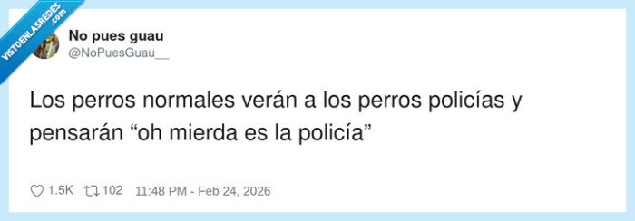 polic&iacute;as,normales,perros