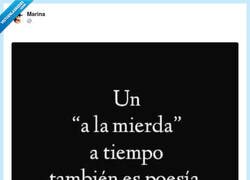 Enlace a Mandar todo a la mierda antes de explotar: literatura contemporánea, por @MarinaR33201588