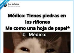 Enlace a El trucazo definitivo, por @ymuchosmemes